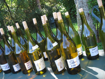 0801 vins.jpg