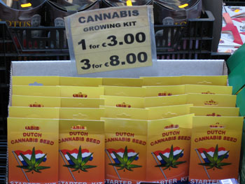 0805 cannabis.jpg