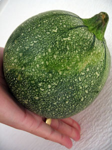0905 courgette.jpg