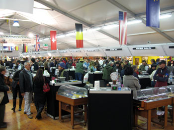 1020 festa1.jpg