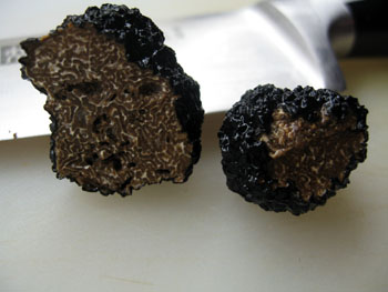 1212 truffe noire.jpg