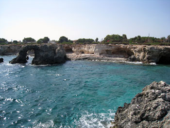 oignona plage2.jpg